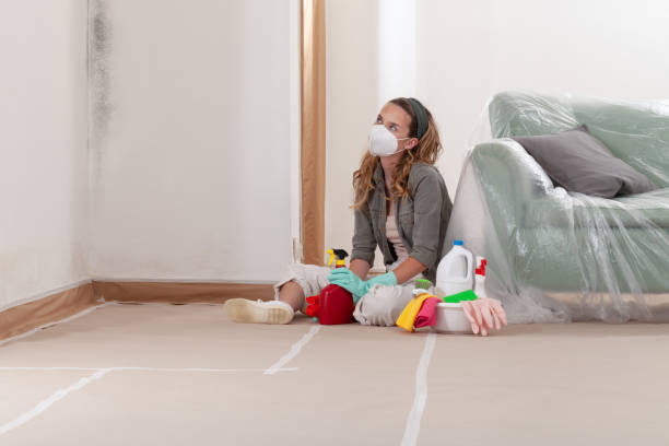 Reliable Basement Mold Remediation contractor in Kenilworth, NJ by WQB Mold Removal